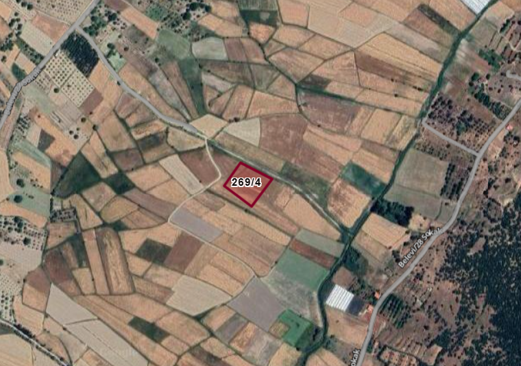 Fotoğraf